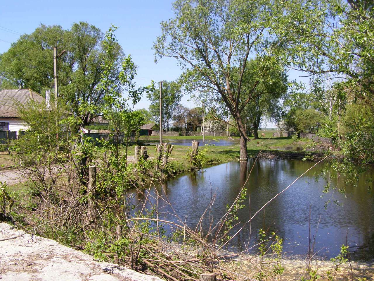 Хотинівка-душі криниця - Хотинівка