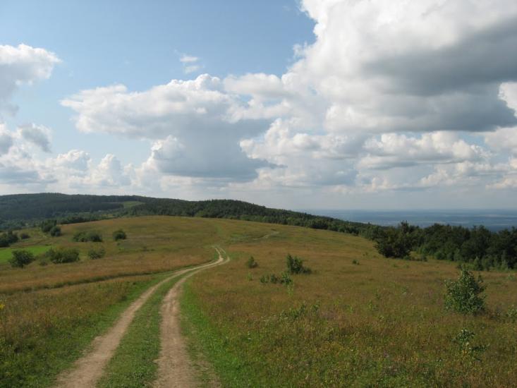 Орів з panoramio.com - Оров