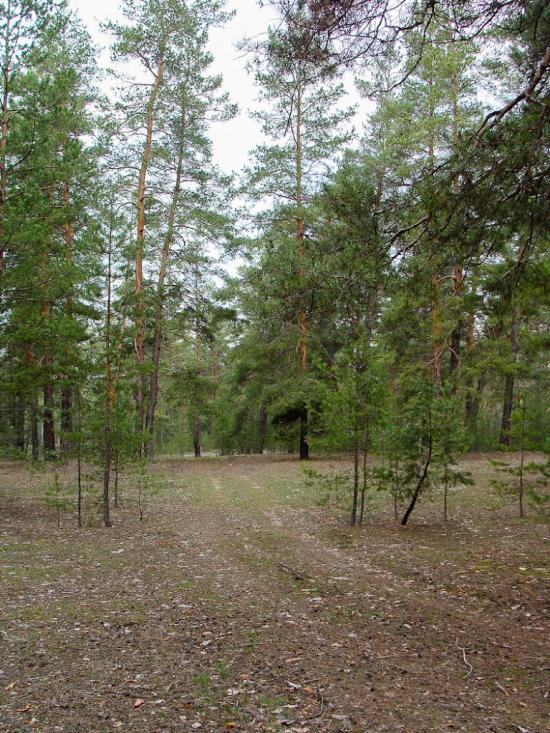 Ярова з panoramio.com - Ярова