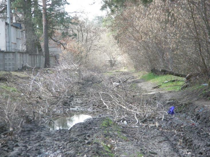 Княжичі з panoramio.com - Княжичі