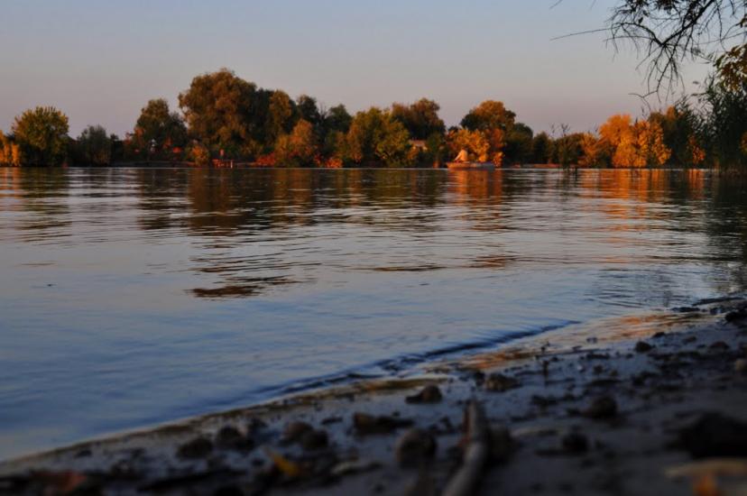 Комишани з panoramio.com - Комишани