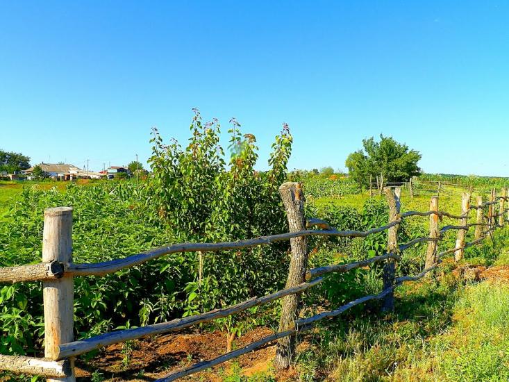 Передільське з panoramio.com - Передельское