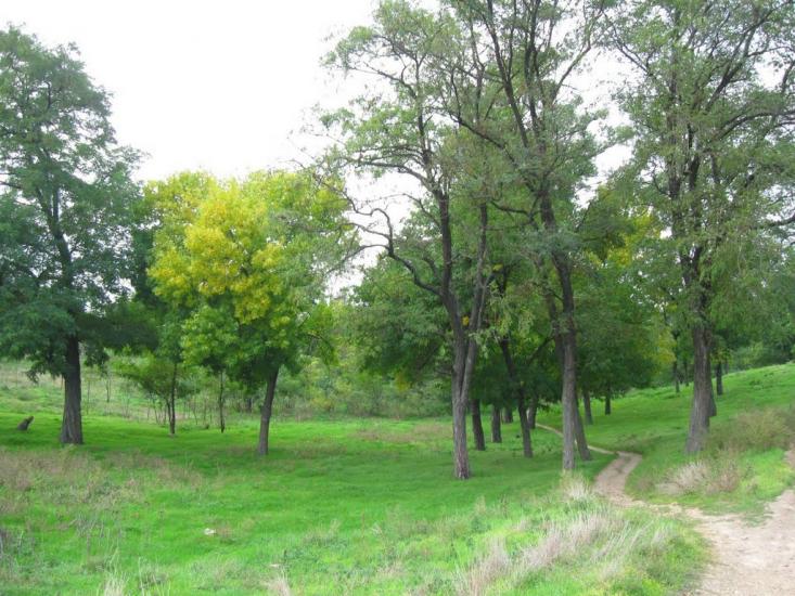Горностаївка з panoramio.com - Горностаевка
