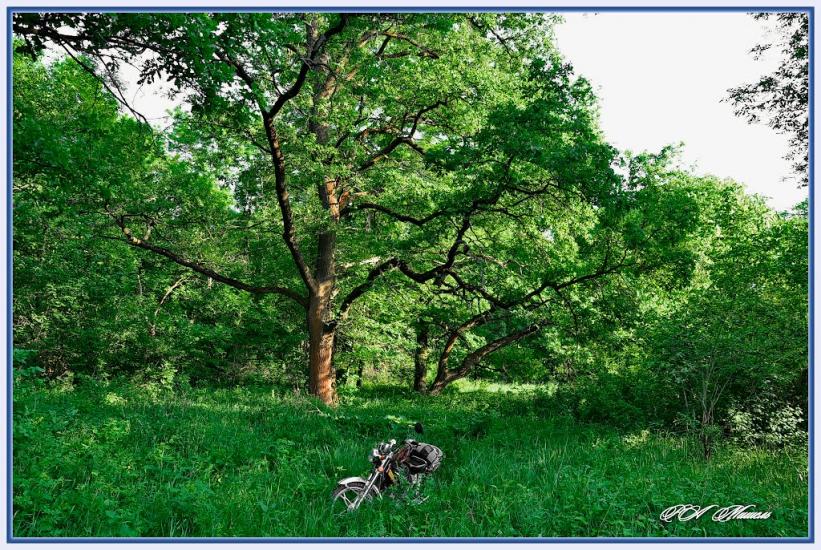 Дронівка з panoramio.com - Dronivka