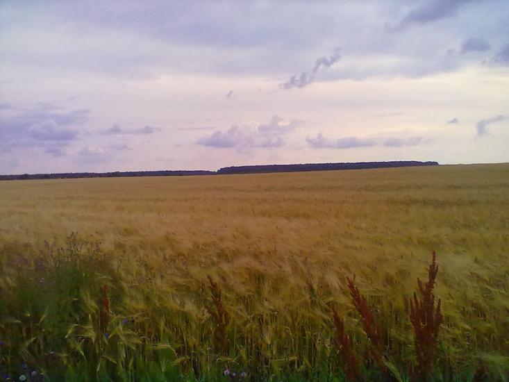 Головлі з panoramio.com - Головли