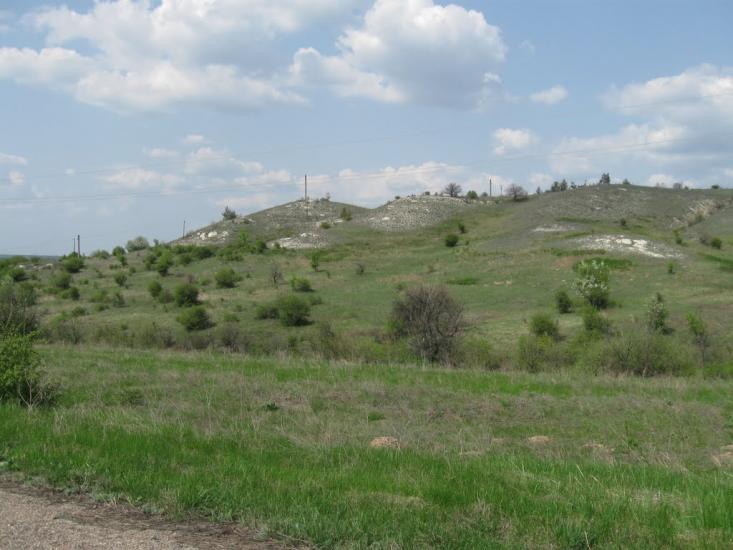 Стародубівка з panoramio.com - Стародубівка