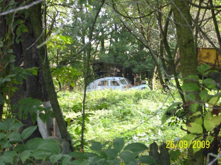 Тлумач з panoramio.com - Тлумач