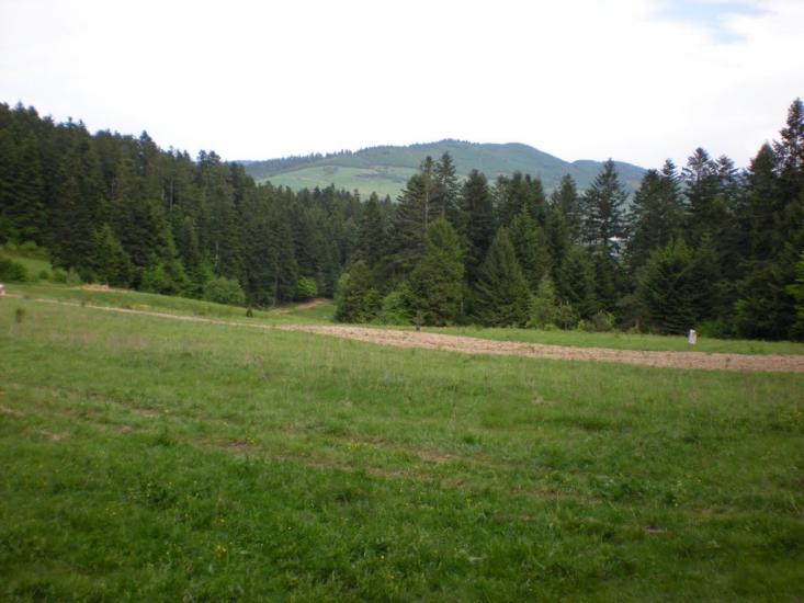 Тершів з panoramio.com - Тершев