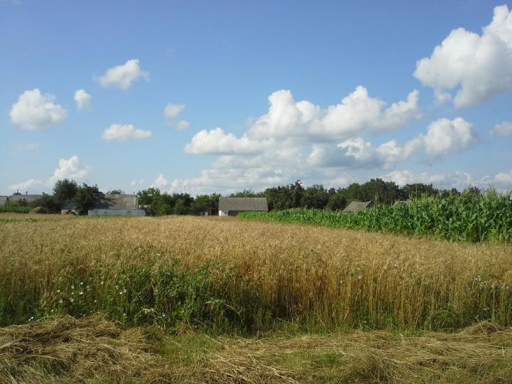 Вирка з panoramio.com - Вирка