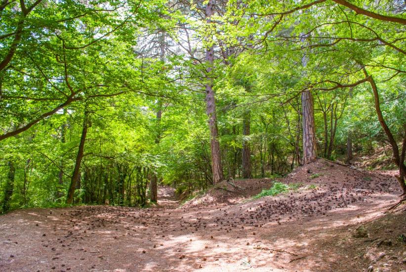 Відрадне з panoramio.com - Отрадное