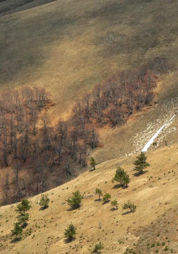 Підгородне з panoramio.com - Подгороднее