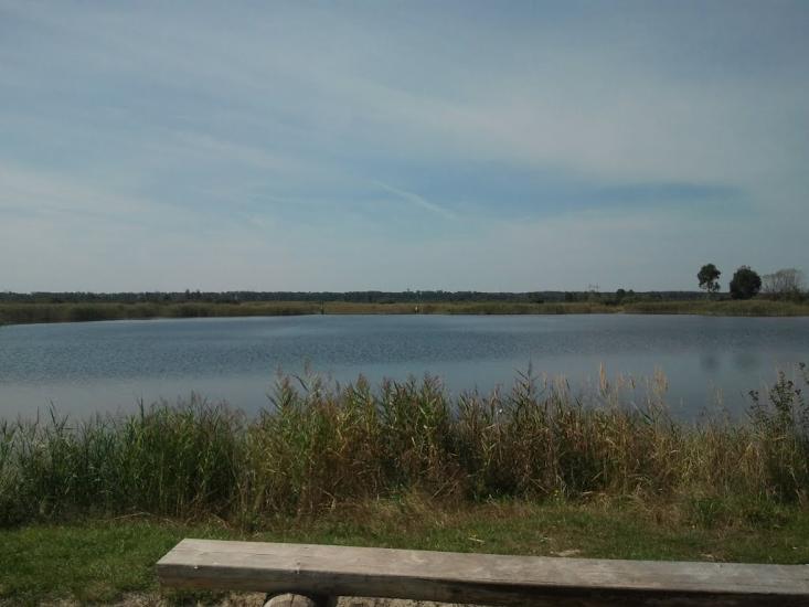 Торф'яне з panoramio.com - Торфяное