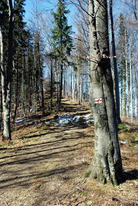 Букове з panoramio.com - Букове