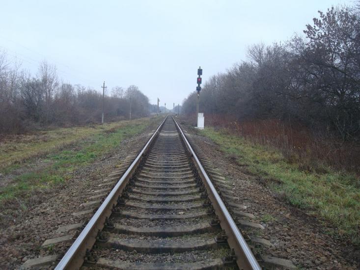Воронківці з panoramio.com - Воронковцы