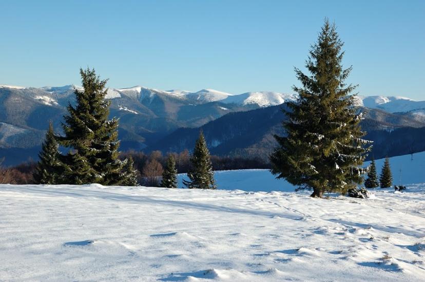 Руська Мокра з panoramio.com - Русская Мокрая