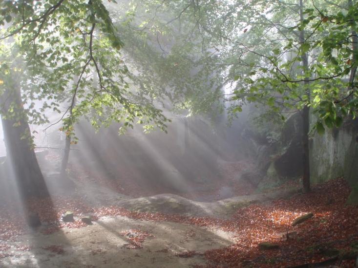 Поляниця з panoramio.com - Поляница