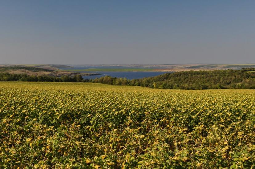Калинівка з panoramio.com - Калиновка