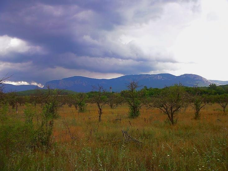 Аромат з panoramio.com - Аромат