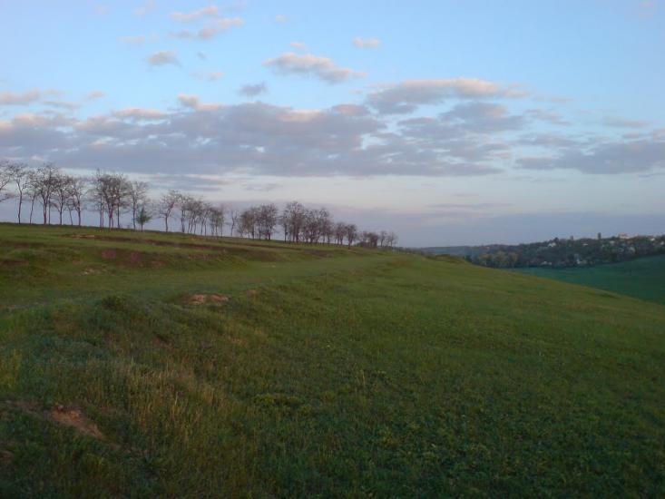 Сад з panoramio.com - Сад