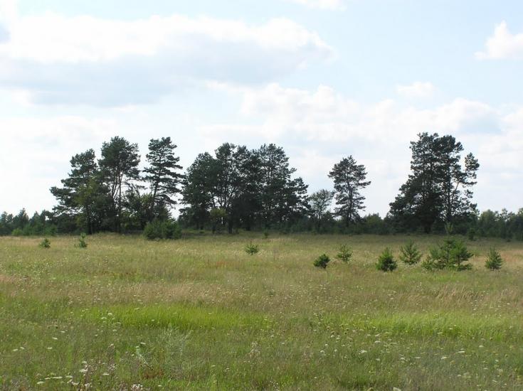 Бондарівка з panoramio.com - Бондарівка