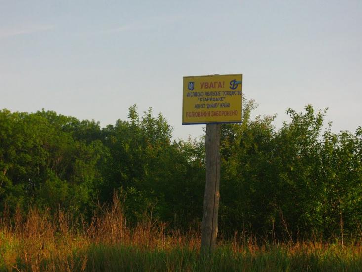 Приліпка з panoramio.com - Прилипка