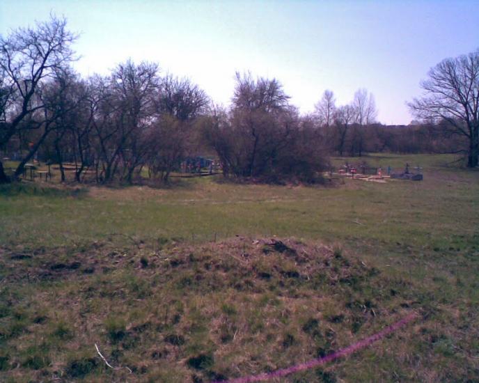 Кустолові Кущі з panoramio.com - Кустолові Кущі