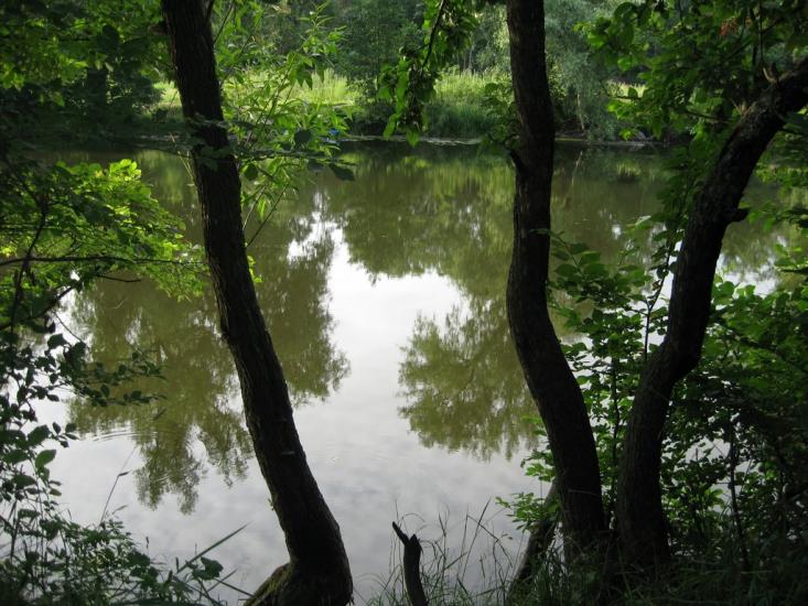 Шамраївка з panoramio.com - Шамраевка