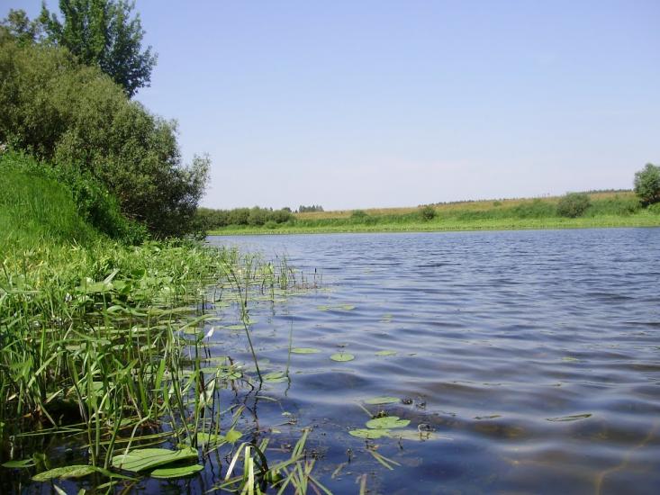 Комань з panoramio.com - Комань