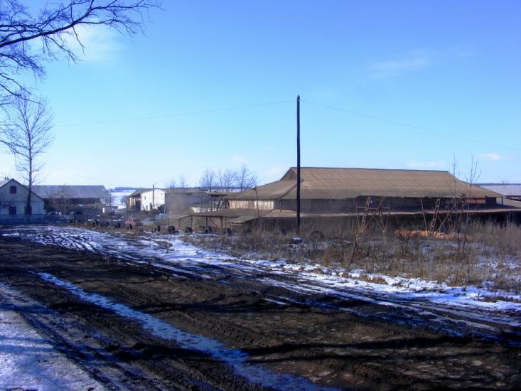 Жашків з panoramio.com - Жашков