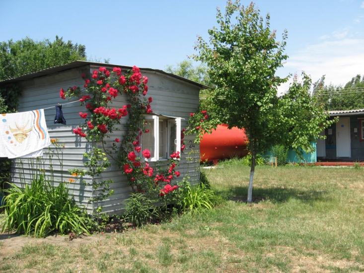 Більшовик з panoramio.com - Большевик