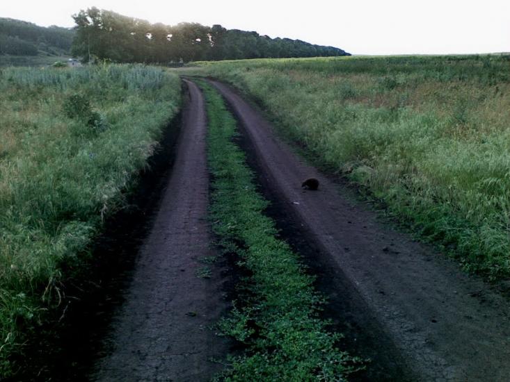 Висока Яруга з panoramio.com - Висока Яруга