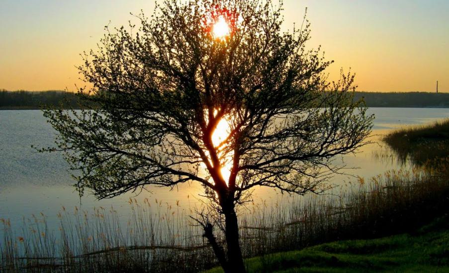 Новомайське з panoramio.com - Новомайское