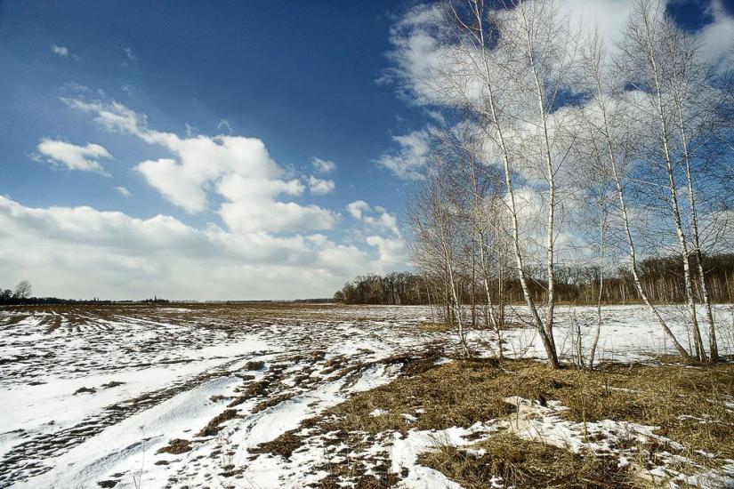 Мала Стариця з panoramio.com - Мала Стариця