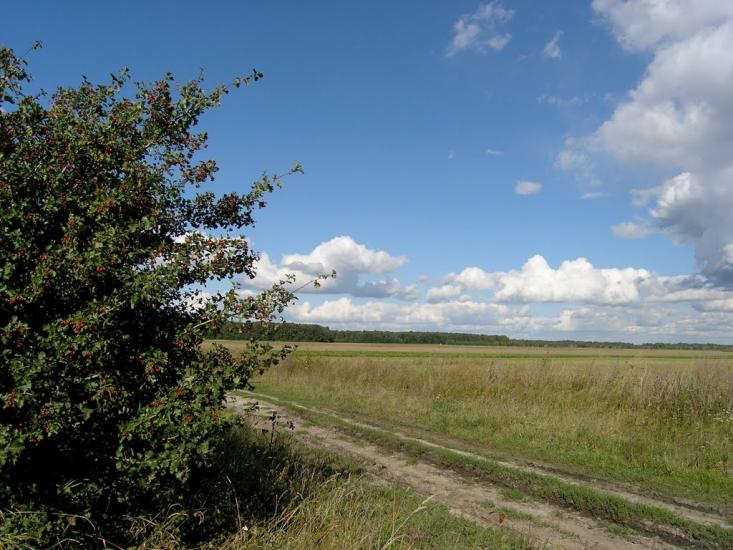 Кашперівка з panoramio.com - Кашперівка