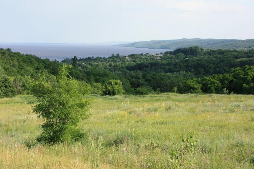 Луковиця з panoramio.com - Луковица