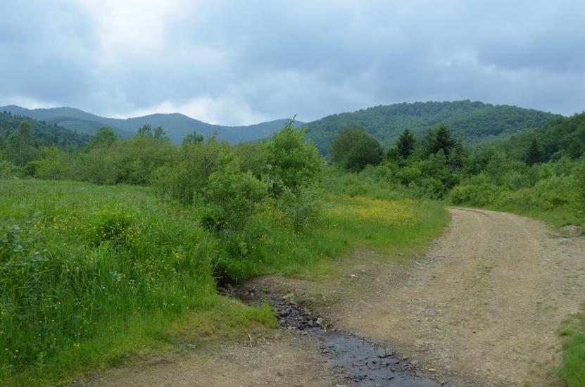 Крушельниця з panoramio.com - Крушельница