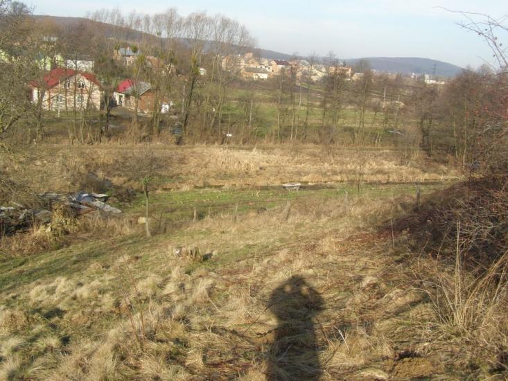 Бережани з panoramio.com - Бережаны