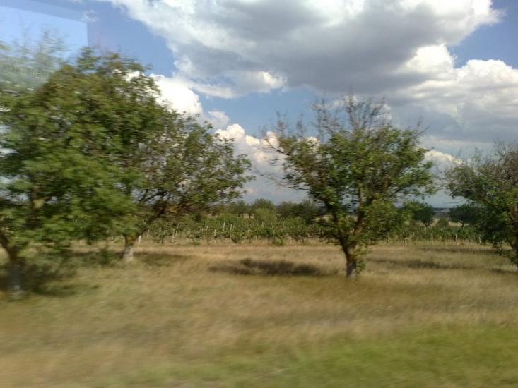 Табачне з panoramio.com - Табачное