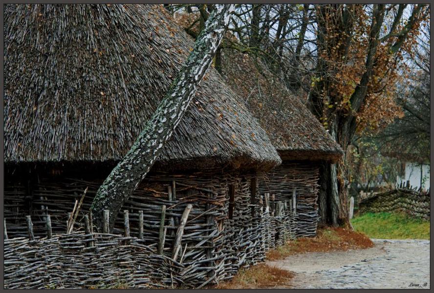 Новосілки з panoramio.com - Новоселки