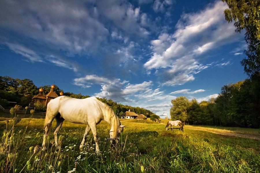 Новосілки з panoramio.com - Новоселки
