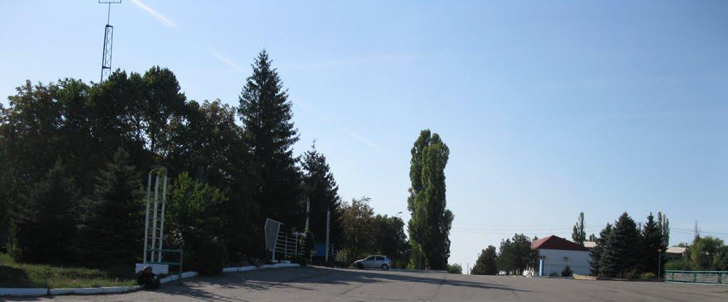 Гаврилівка з panoramio.com - Гавриловка