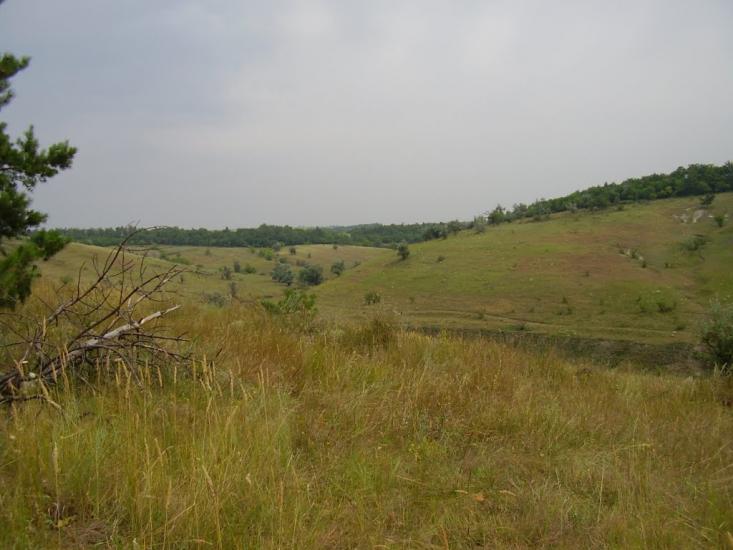 Сидорове з panoramio.com - Сидорове