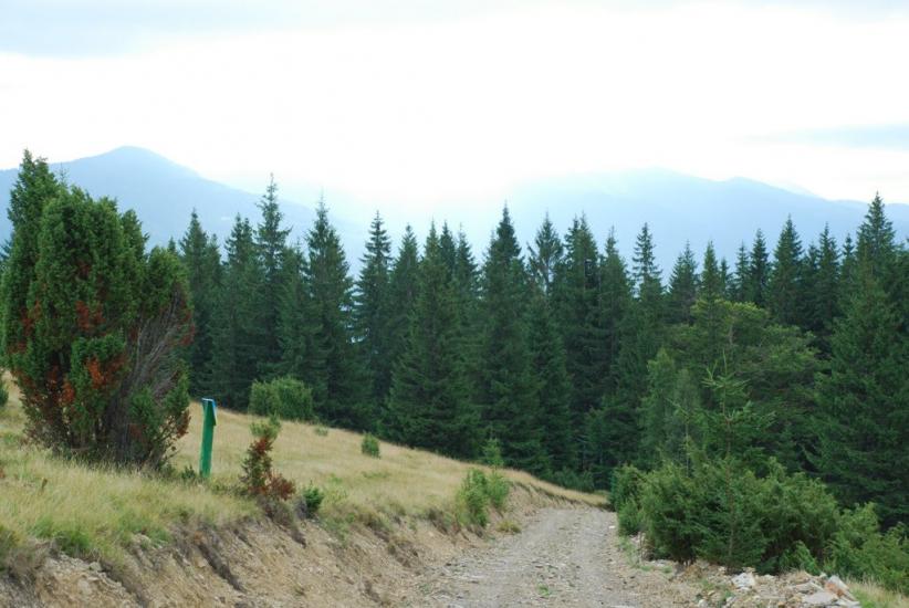 Згари з panoramio.com - Згари