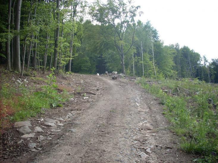 Кам'яниця з panoramio.com - Кам'яниця