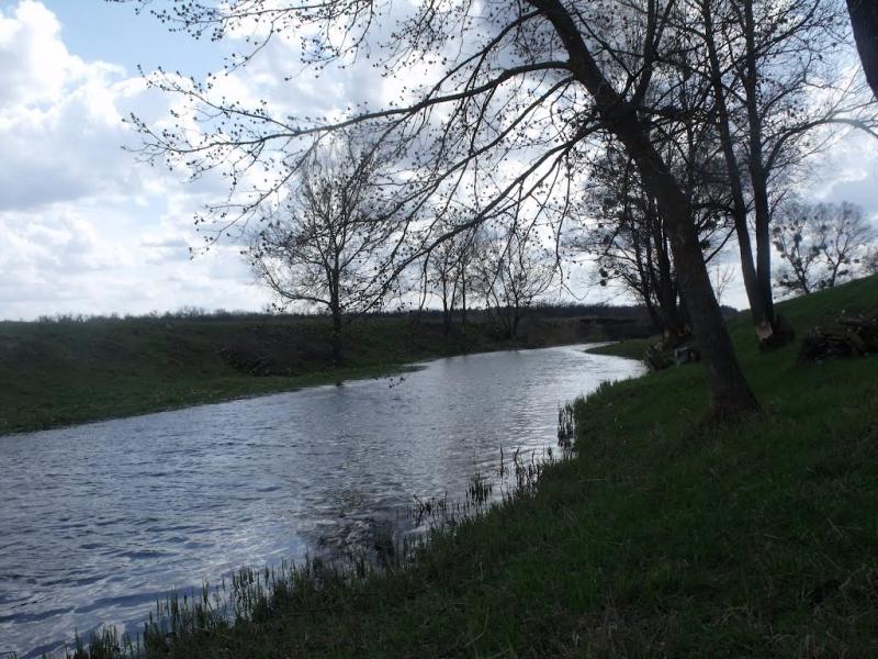 Сорокове з panoramio.com - Сороково