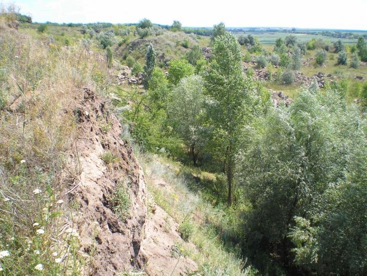 Кам'янка з panoramio.com - Кам'янка