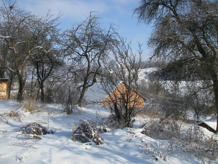 Домажир з panoramio.com - Домажир
