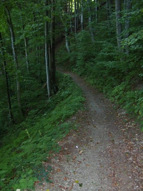 Усть-Чорна з panoramio.com - Усть-Чорна