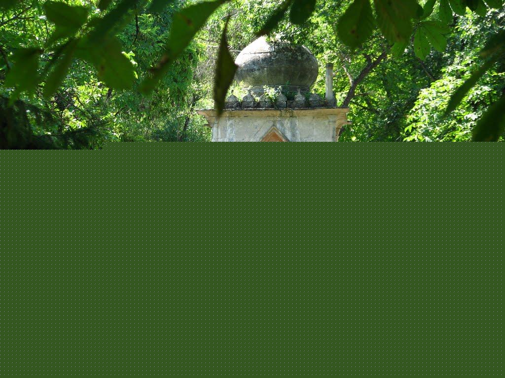 Шура-Мітлинецька з panoramio.com - Шура-Мітлинецька