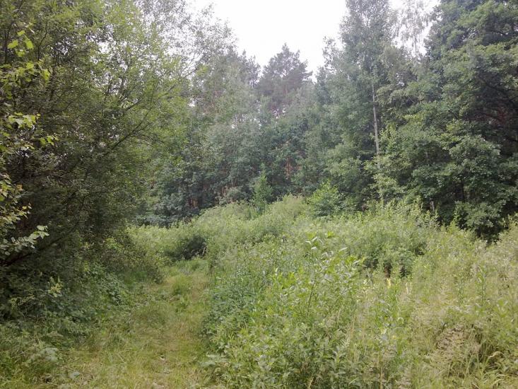 Житомир з panoramio.com - Житомир